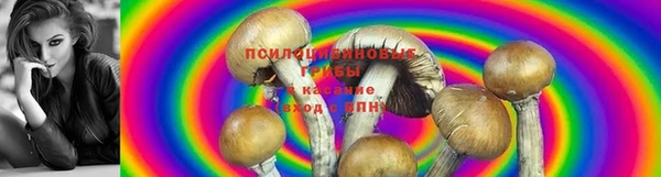 кокаин VHQ Козельск