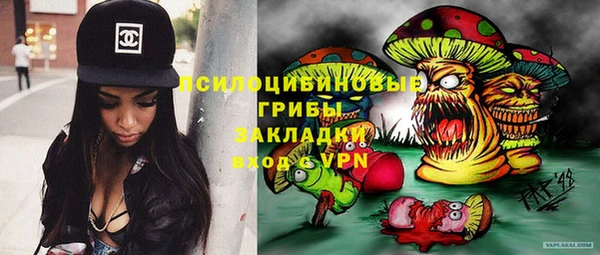 амф Козловка