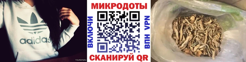Псилоцибиновые грибы Psilocybine cubensis  Купить  Петровск-Забайкальский 