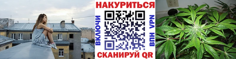 Канабис OG Kush  Купить где  Петровск-Забайкальский 
